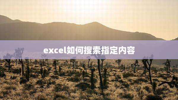 excel如何搜索指定内容