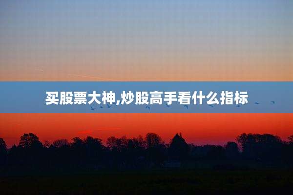 买股票大神,炒股高手看什么指标