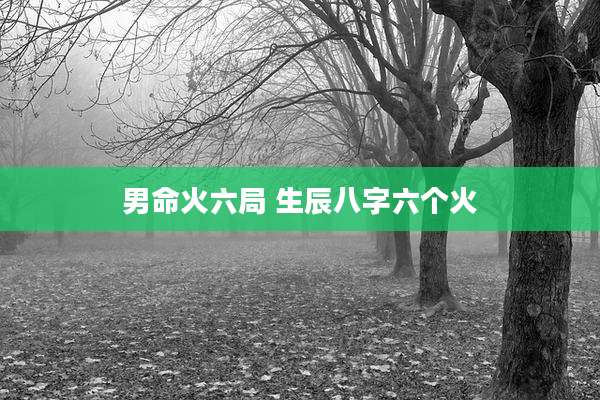 男命火六局 生辰八字六个火