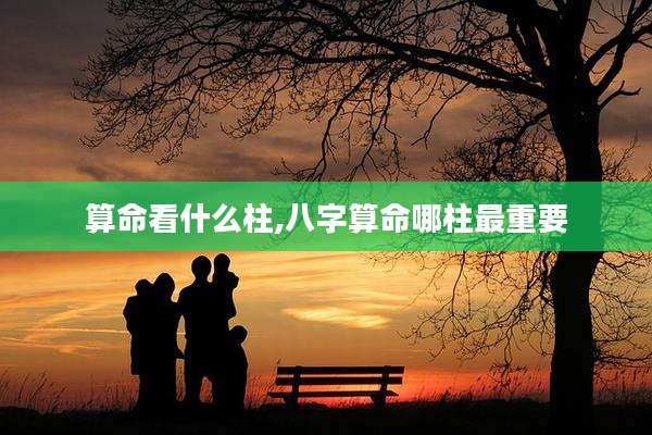 算命看什么柱,八字算命哪柱最重要