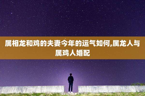 属相龙和鸡的夫妻今年的运气如何,属龙人与属鸡人婚配