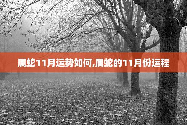 属蛇11月运势如何,属蛇的11月份运程