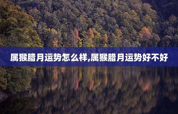 属猴腊月运势怎么样,属猴腊月运势好不好
