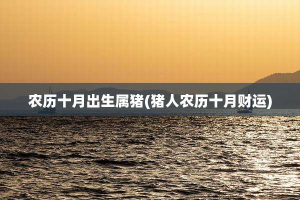 农历十月出生属猪(猪人农历十月财运)