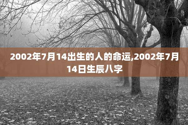 2002年7月14出生的人的命运,2002年7月14日生辰八字