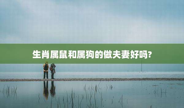 生肖属鼠和属狗的做夫妻好吗?