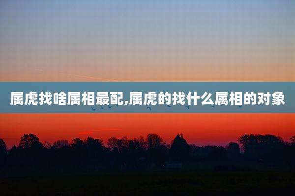 属虎找啥属相最配,属虎的找什么属相的对象