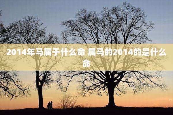 2014年马属于什么命 属马的2014的是什么命