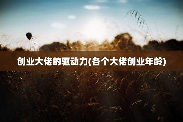 创业大佬的驱动力(各个大佬创业年龄)