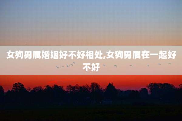 女狗男属婚姻好不好相处,女狗男属在一起好不好