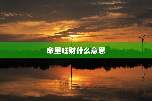 命里旺财什么意思