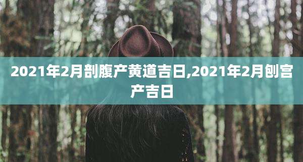 2021年2月剖腹产黄道吉日,2021年2月刨宫产吉日