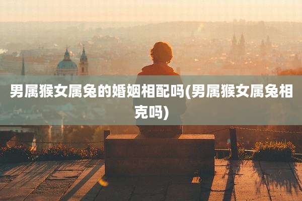 男属猴女属兔的婚姻相配吗(男属猴女属兔相克吗)
