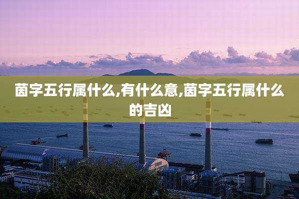 茵字五行属什么,有什么意,茵字五行属什么的吉凶