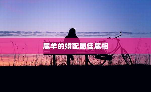 属羊的婚配最佳属相