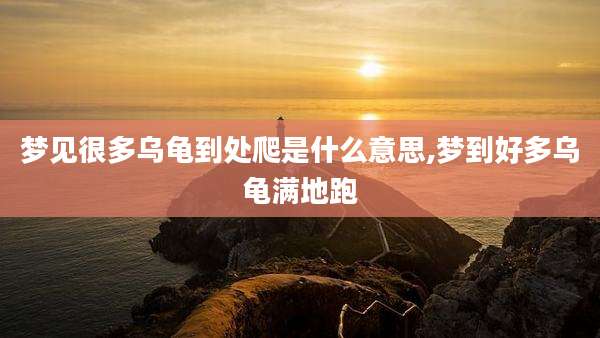 梦见很多乌龟到处爬是什么意思,梦到好多乌龟满地跑