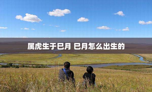 属虎生于巳月 巳月怎么出生的