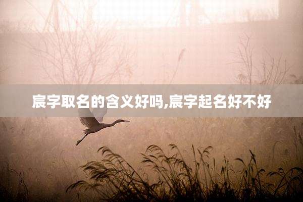 宸字取名的含义好吗,宸字起名好不好