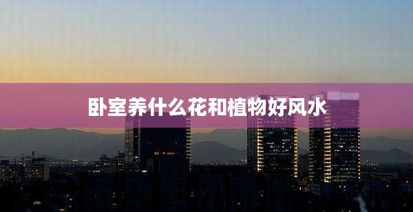 卧室养什么花和植物好风水