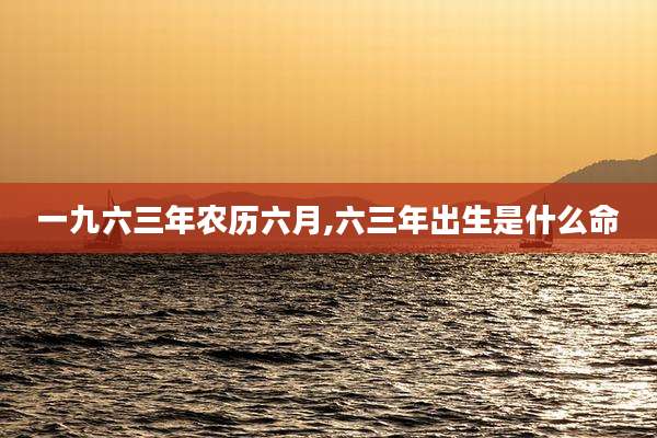 一九六三年农历六月,六三年出生是什么命