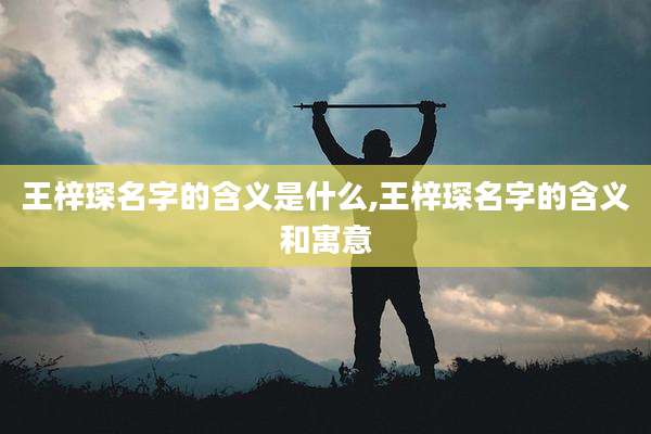 王梓琛名字的含义是什么,王梓琛名字的含义和寓意