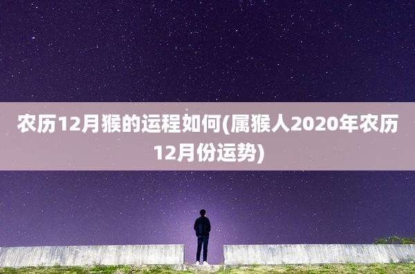 农历12月猴的运程如何(属猴人2020年农历12月份运势)