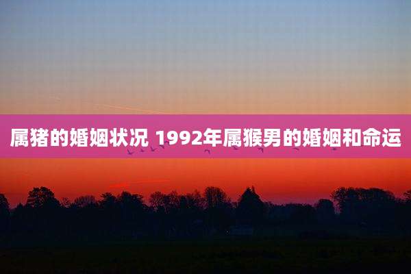 属猪的婚姻状况 1992年属猴男的婚姻和命运