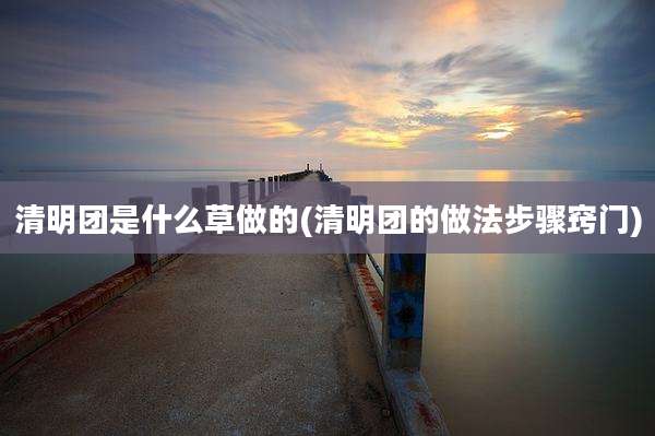 清明团是什么草做的(清明团的做法步骤窍门)