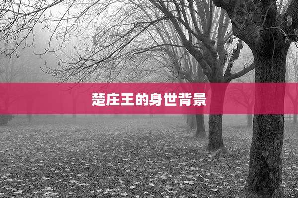 楚庄王的身世背景