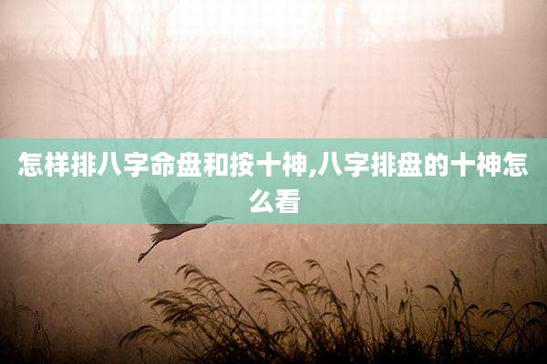 怎样排八字命盘和按十神,八字排盘的十神怎么看