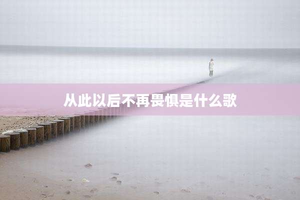 从此以后不再畏惧是什么歌