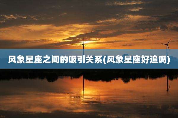 风象星座之间的吸引关系(风象星座好追吗)