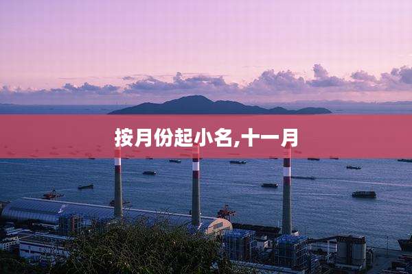 按月份起小名,十一月