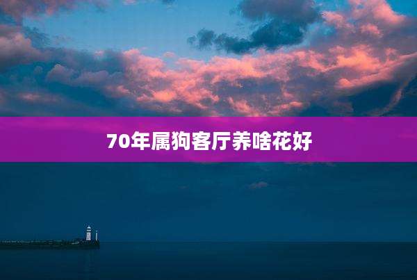 70年属狗客厅养啥花好