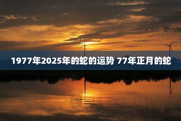 1977年2025年的蛇的运势 77年正月的蛇