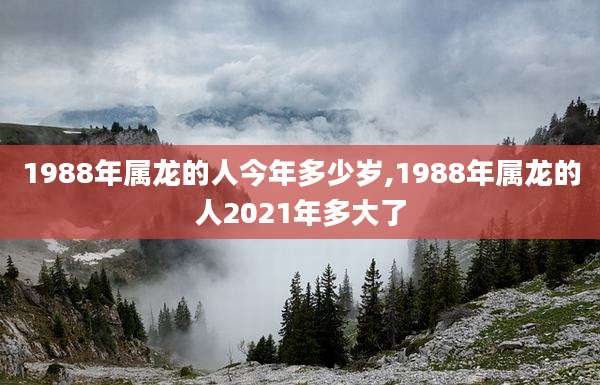 1988年属龙的人今年多少岁,1988年属龙的人2021年多大了