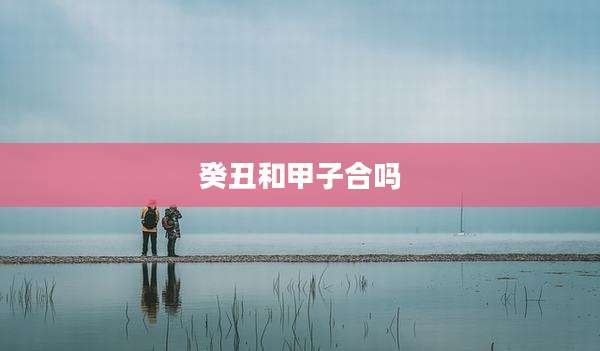 癸丑和甲子合吗