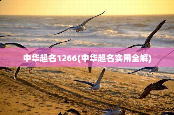 中华起名1266(中华起名实用全解)