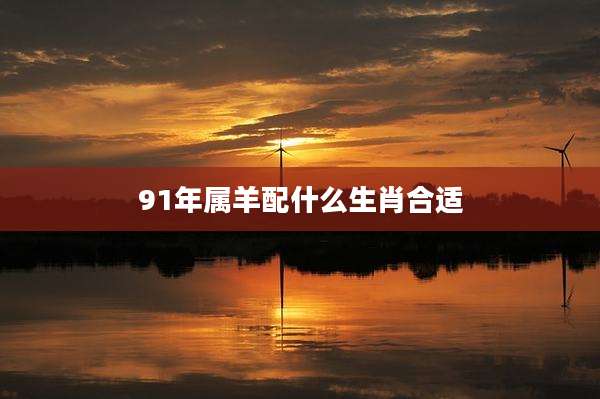 91年属羊配什么生肖合适