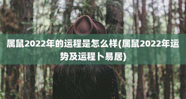属鼠2022年的运程是怎么样(属鼠2022年运势及运程卜易居)