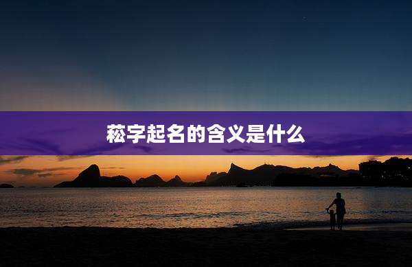 菘字起名的含义是什么