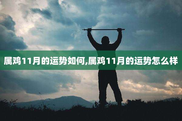 属鸡11月的运势如何,属鸡11月的运势怎么样