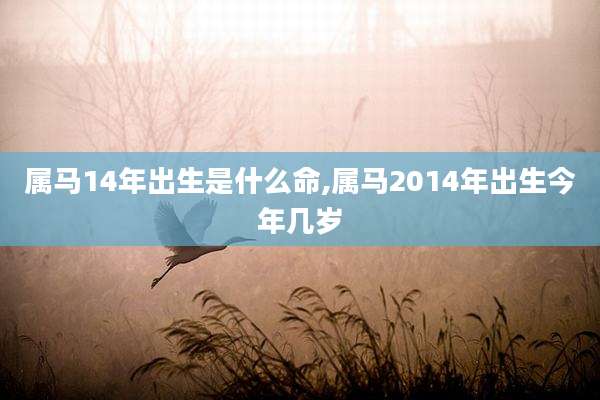 属马14年出生是什么命,属马2014年出生今年几岁