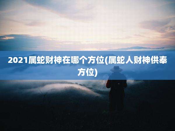 2021属蛇财神在哪个方位(属蛇人财神供奉方位)