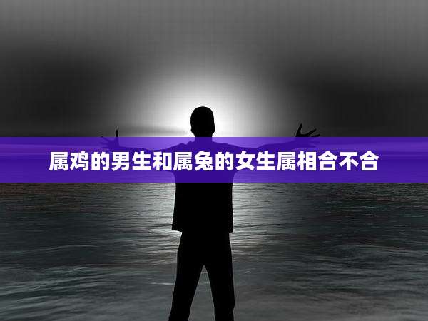 属鸡的男生和属兔的女生属相合不合