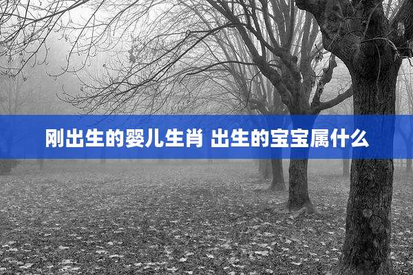 刚出生的婴儿生肖 出生的宝宝属什么