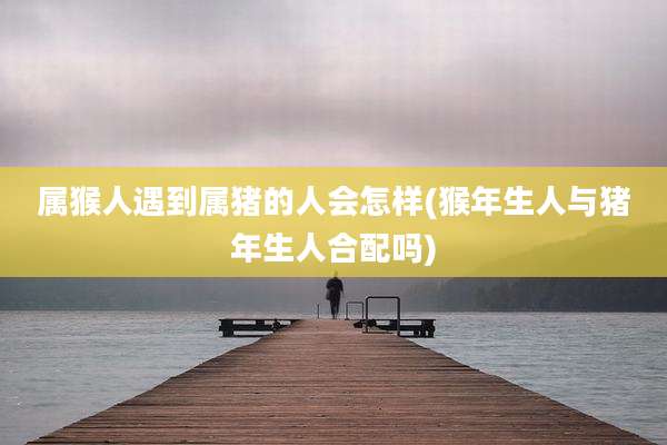 属猴人遇到属猪的人会怎样(猴年生人与猪年生人合配吗)
