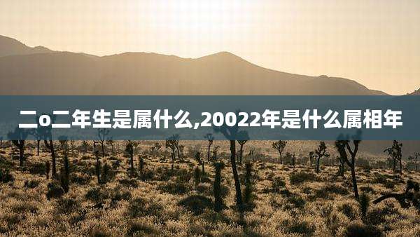 二o二年生是属什么,20022年是什么属相年