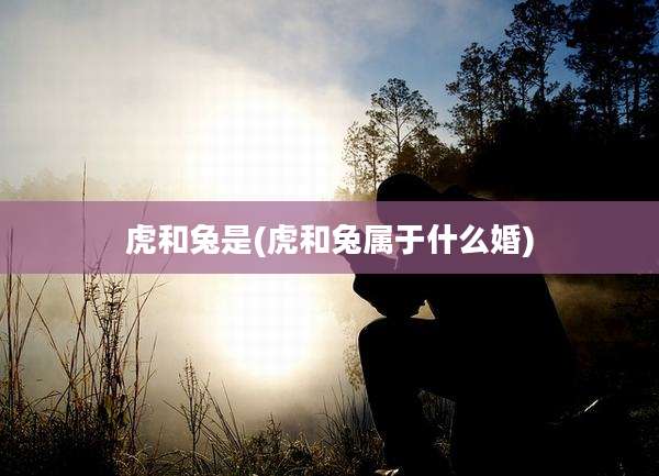 虎和兔是(虎和兔属于什么婚)