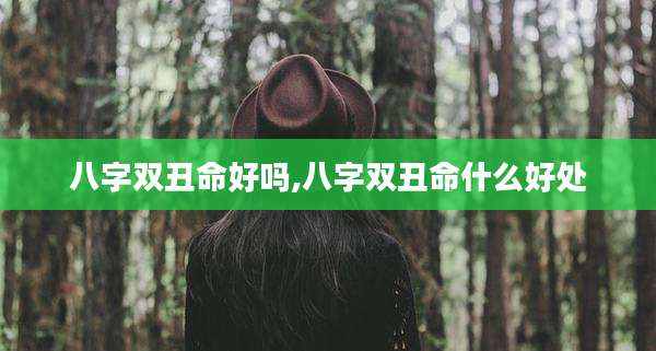 八字双丑命好吗,八字双丑命什么好处